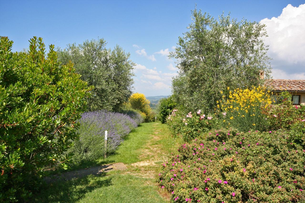 Gasthaus Podere Il Pino Poggibonsi Exterior foto